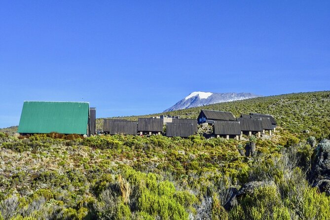 Mount Kilimanjaro Day Hike Through Marangu Route to Mandara Hut - What this Marangu Route day hike really offers
