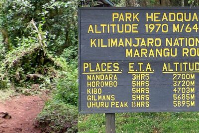 Mount Kilimanjaro Day Hike Through Marangu Route to Mandara Hut