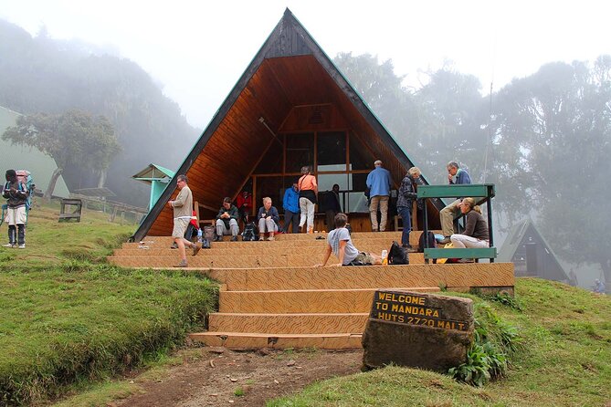 Mount Kilimanjaro Day Hike Through Marangu Route to Mandara Hut - The climb toward Mandara Hut at 2,700 meters