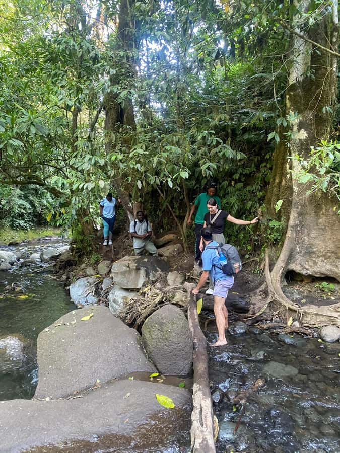 Mount Meru Arusha: Napuru Waterfall Hike by Kingstone Asilia - Coffee from the Kingstone Asilia farm