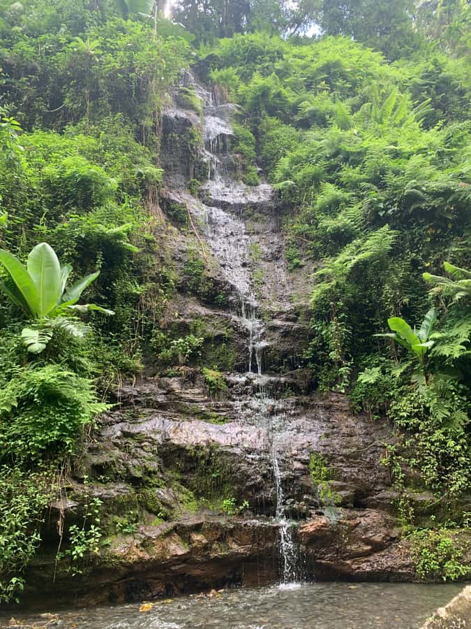 Mount Meru Arusha: Napuru Waterfall Hike by Kingstone Asilia - Practical packing advice