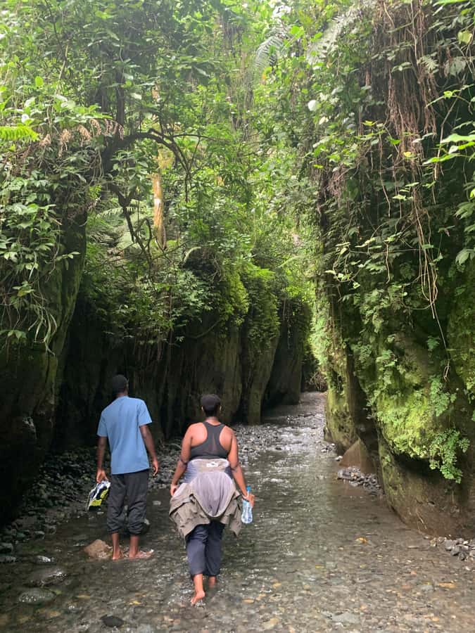 Mount Meru Arusha: Napuru Waterfall Hike by Kingstone Asilia - The forest route down to the river
