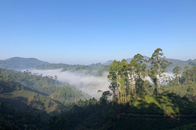 Mountain Hiking in Munnar (half day) By Munnar Info - Tea gardens, private land, and the opening climb