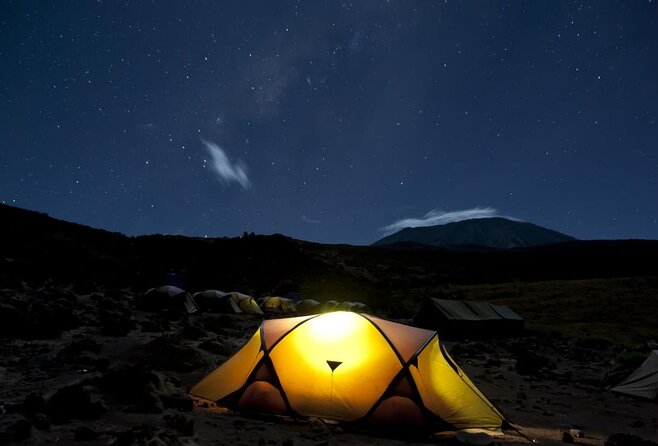 Mountain Kilimanjaro Day Hike - Key points to know before you book