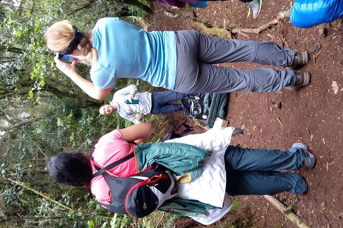 Mountain Kilimanjaro Day Hike - The rainforest section is the most rewarding part