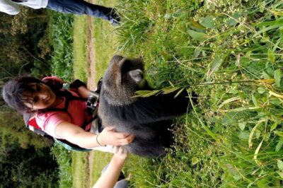 Mountain Kilimanjaro Day Hike