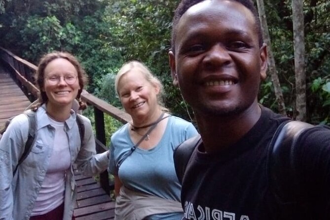 Mountain Kilimanjaro Day Hike - The climb to Mandara Hut is harder than the word day hike suggests