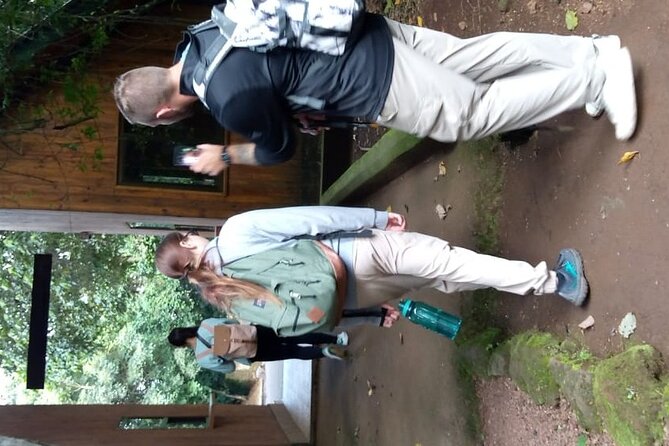Mountain Kilimanjaro Day Hike - What the $267 price covers