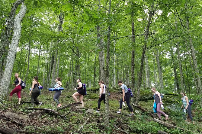 Mountaintop Yoga & Meditation Hike in Asheville - Photos, views, and the walk back