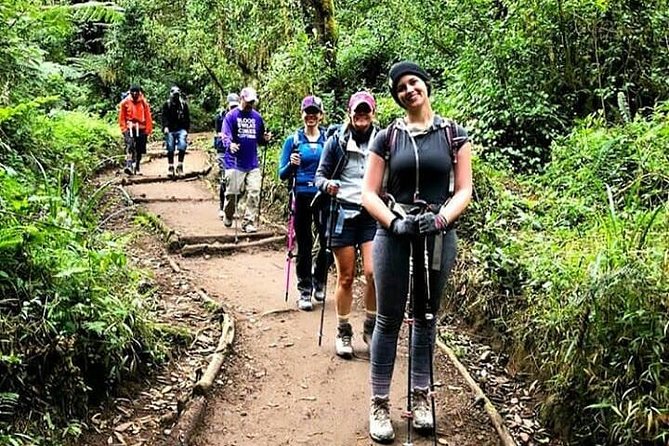 Mt Kilimanjaro Day Hike - Key points to know before you book