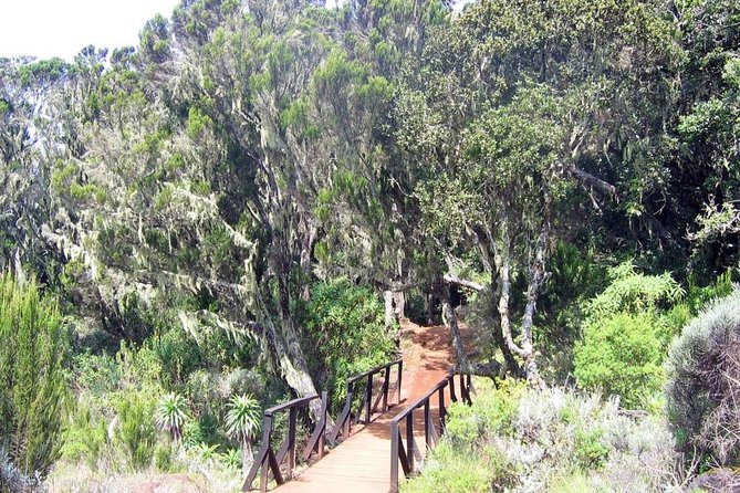 Mt Kilimanjaro Day Hike - Is the $320.52 price fair?