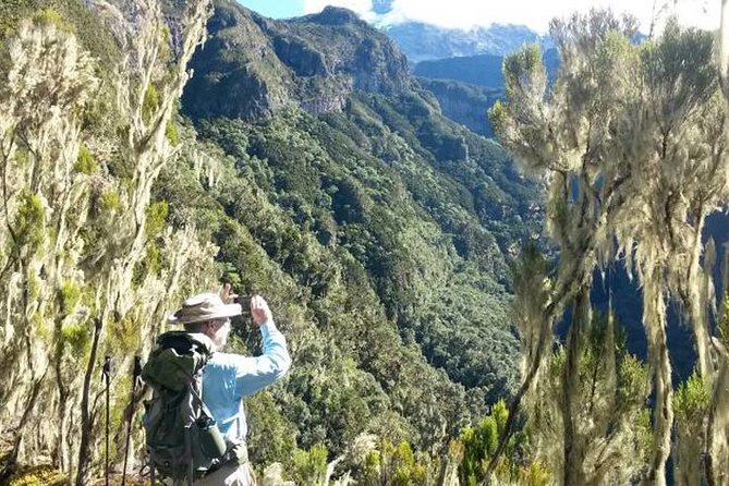Mt Kilimanjaro Day Hike - Starting at Marangu Gate