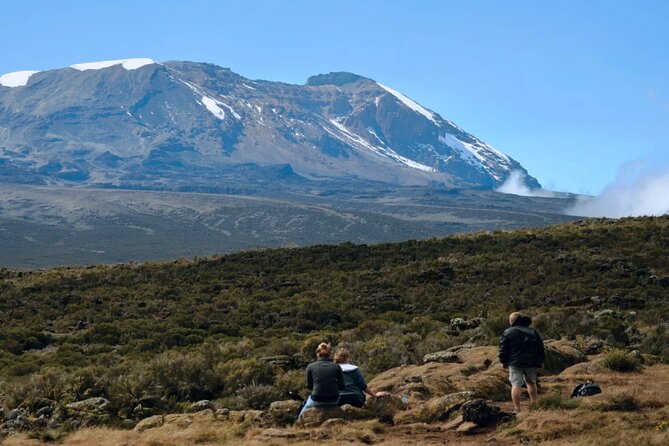 Mt. Kilimanjaro: Shira plateau to Cathedral point 3872m Day hike - From Londorosi Gate into montane forest