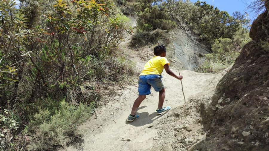 Mt Longonot National park Day Hike - Key points to know before you book