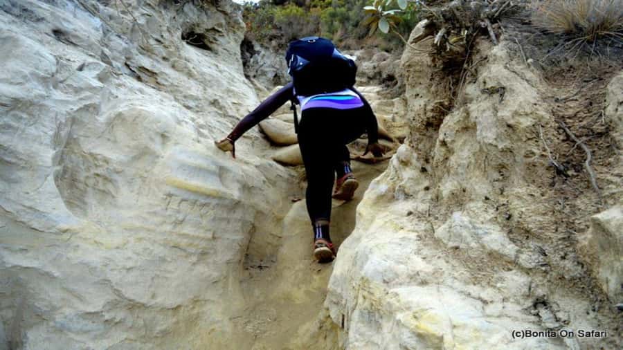 Mt Longonot National park Day Hike - Adding Lake Naivasha after the hike