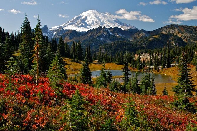 Mt. Rainier highlights - old forest, falls and glaciers - Key points to know before you book