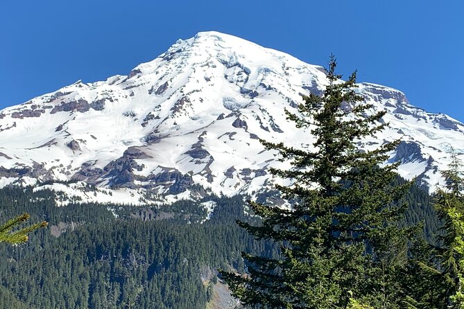 Mt. Rainier highlights - old forest, falls and glaciers - Guides and the value of a small group
