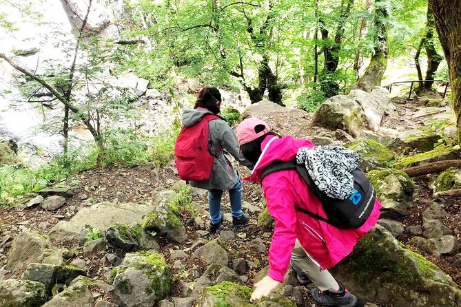 Mt. Vitosha and Boyana Waterfall Hiking Tour from Sofia - Key points to know before booking
