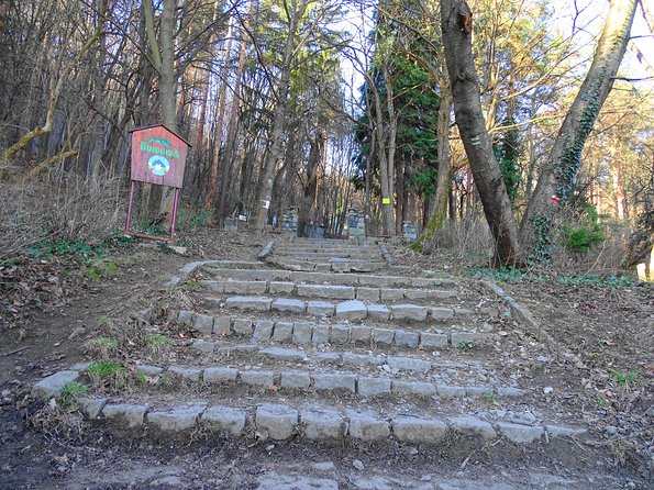 Mt. Vitosha and Boyana Waterfall Hiking Tour from Sofia - The summit and Sofia from above