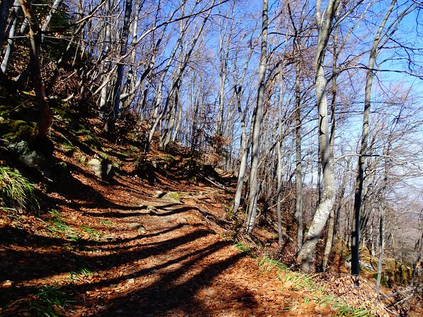 Mt. Vitosha and Boyana Waterfall Hiking Tour from Sofia - Is $131.81 a fair price?