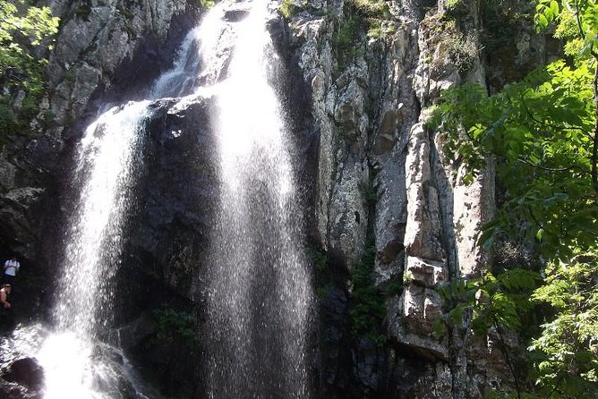 Mt. Vitosha and Boyana Waterfall Hiking Tour from Sofia - Who should book this hike?
