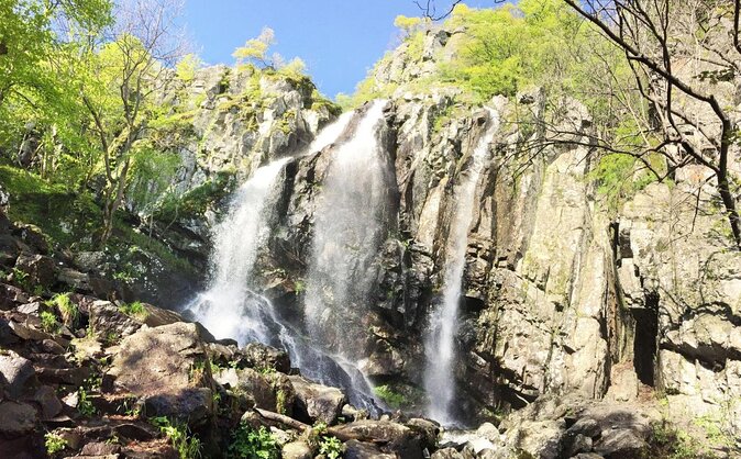 Mt. Vitosha and Boyana Waterfall Hiking Tour from Sofia - Boyana Waterfall is more than a quick photo stop