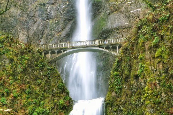 Multnomah Falls and Columbia River Gorge Half-Day Hiking Tour - Multnomah Falls: the big name earns its place