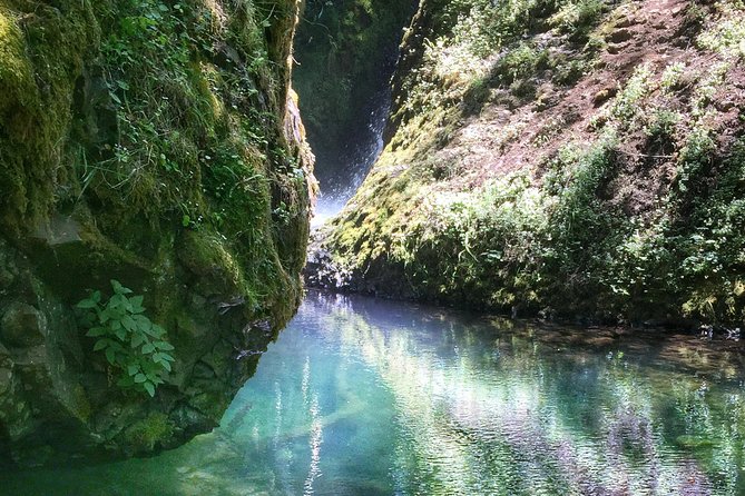 Multnomah Falls and Columbia River Gorge Half-Day Hiking Tour - Bridal Veil brings the quieter forest walk