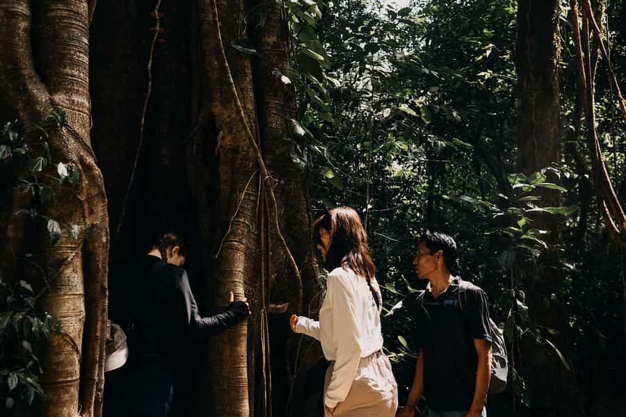 Munduk: Twin Lake Jungle Hike, Ulun Danu Temple, & Waterfall - Pura Dalem Tamblingan and Ulun Danu Tamblingan