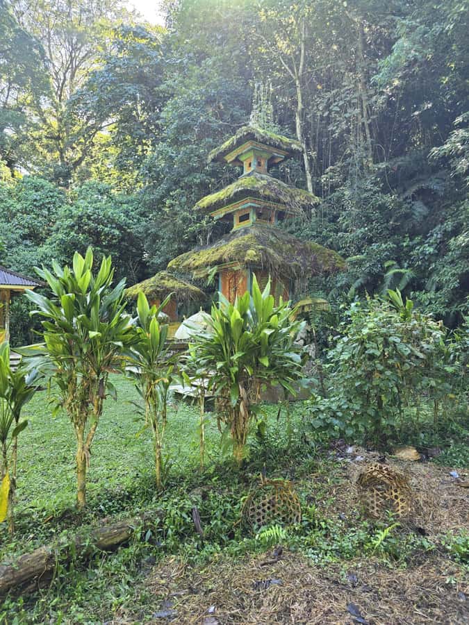 Munduk: Twin Lakes Jungle Hike with Lake Canoe and Waterfall - Who should book this experience