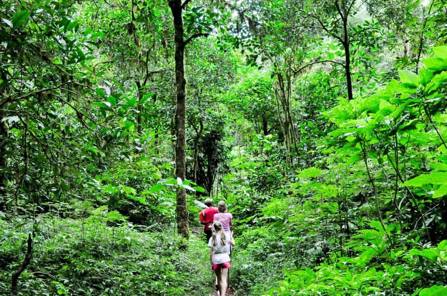 Munduk: Twin Lakes Jungle Hike with Lake Canoe and Waterfall - Twin Lake View and the first forest trail