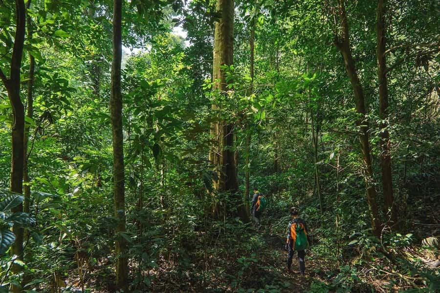 Munduk: Twin Lakes Jungle Hike with Lake Canoe and Waterfall - Pura Ulun Danu Tamblingan and Pura Dalem Tamblingan