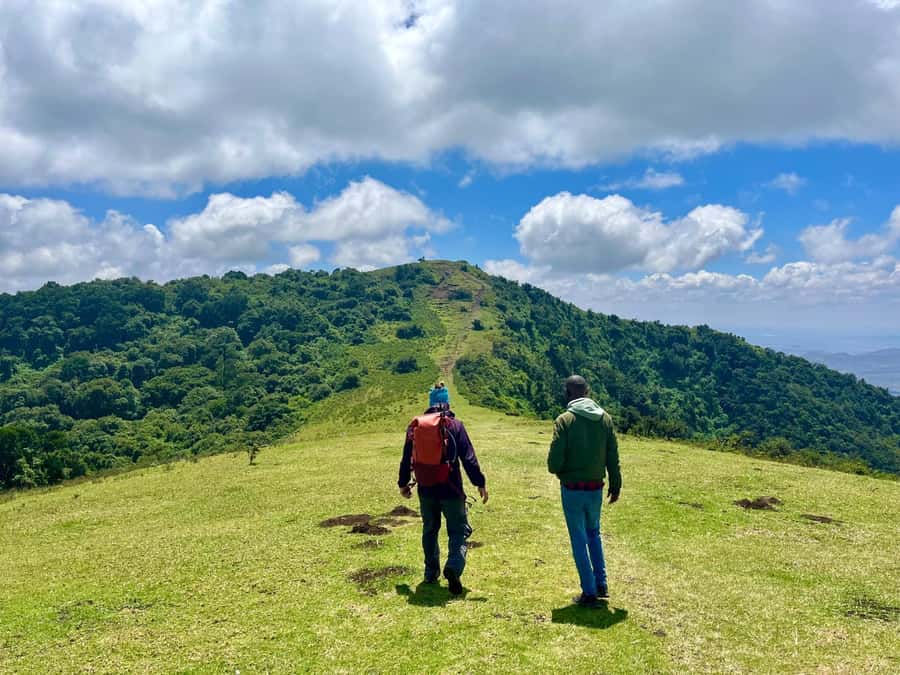 NAIROBI:Ngong Hills Day Hike,Group Tour - Tickets, briefing, and the first forest section
