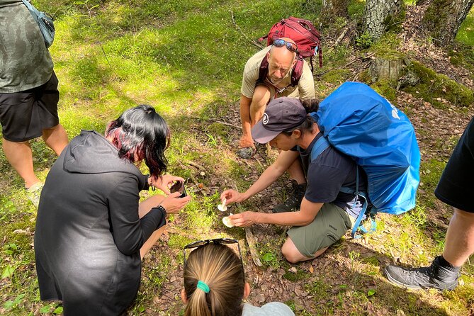 National Park Hike & Finnish Smoke Sauna Experience with Campfire Lunch - Campfire food beside the lake