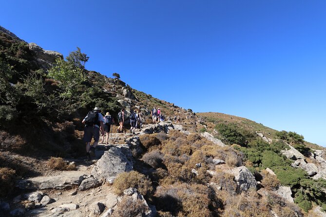 Naxos: Hike to the Top of the Cyclades - Mount Zas - The traditional picnic after the descent