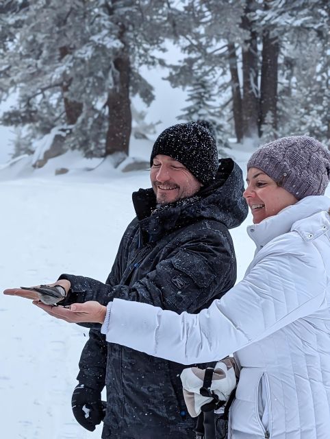 New Washoe City: Chickadee Ridge Beginner Snowshoeing Hike - Key Points About Chickadee Ridge
