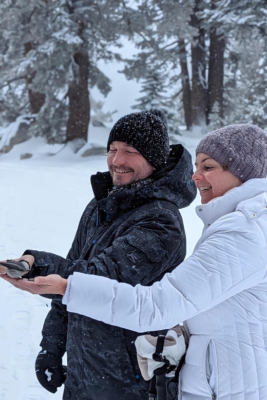 New Washoe City: Chickadee Ridge Beginner Snowshoeing Hike - Starting at Tahoe Meadows South Trailhead