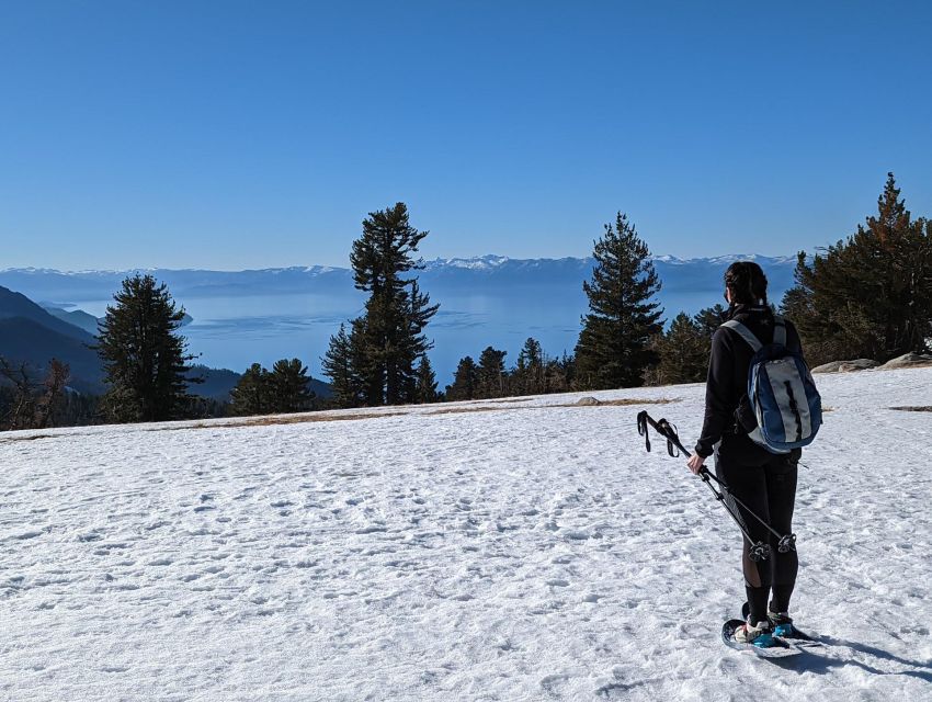 New Washoe City: Chickadee Ridge Beginner Snowshoeing Hike - A Gentle Beginning Through Pine Forest