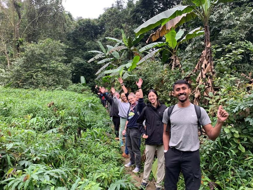 Ninh Binh: Cuc Phuong Jungle Hike & Wildlife Day Trip - Who should book this jungle day?