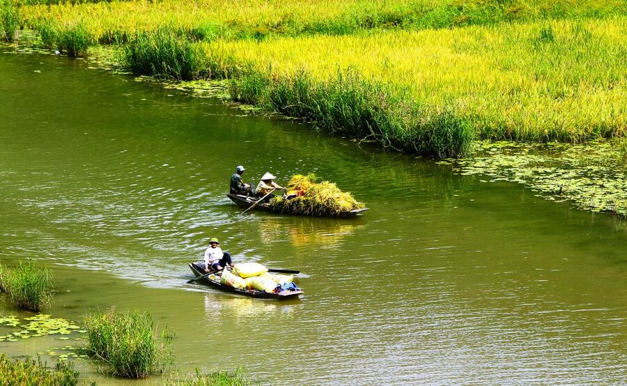 Ninh Binh: Hoa Lu, Trang An and Mua Caves Hiking Day Trip - Hoa Lu and Vietnam’s early royal center