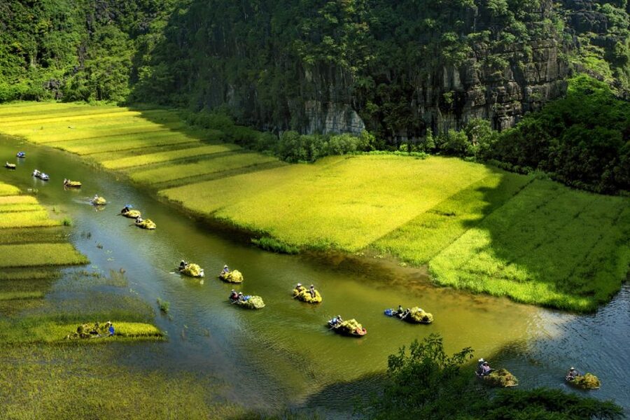 Ninh Binh: Hoa Lu, Trang An and Mua Caves Hiking Day Trip - What the $43 price really buys