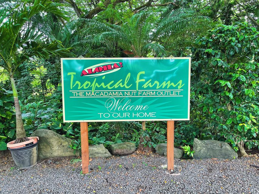 Oahu: Diamond Head Crater Hike and North Shore Experience - Kualoa Regional Park and the coastal road