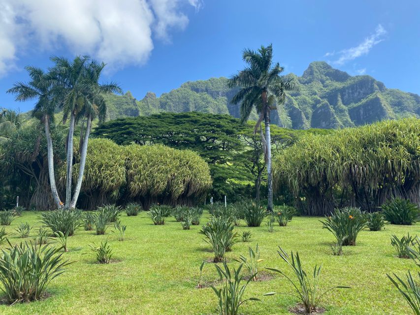 Oahu: Diamond Head Crater Hike and North Shore Experience - Haleiwa Beach Park brings a slower moment