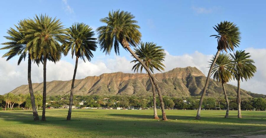 Oahu: Diamond Head Hike with Roundtrip Transportation - Practical tips for a better morning