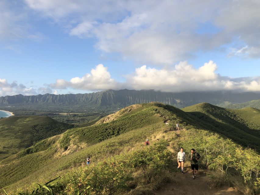 Oahu: Manoa Falls Hike and east side beach day - From your hotel to Manoa’s wet forest