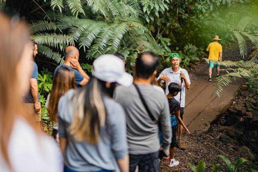 Oahu: Manoa Falls Waterfall Hike with Lunch and Transfers - Lunch above Honolulu at Tantalus Lookout