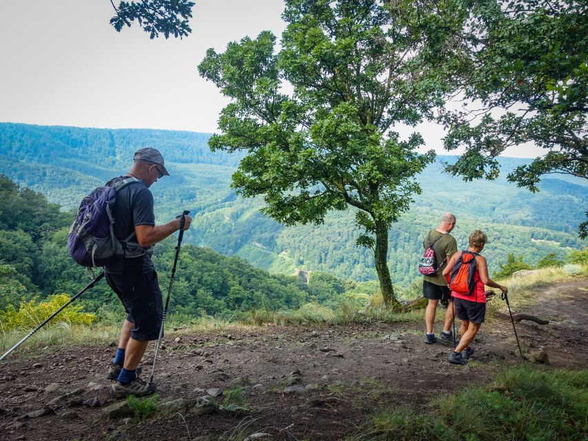 One Day Wonder Hike - The Essence of the Danube Bend - From Budapest streets to Dömös village