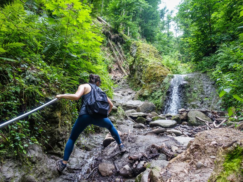 One Day Wonder Hike - The Essence of the Danube Bend - A long forest descent changes the pace