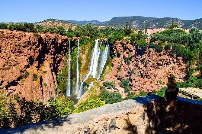 Ouzoud Waterfalls Guided Hike and Boat Trip from Marrakech - Monkeys, viewpoints, and the human side of the visit