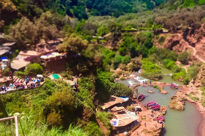 Ouzoud Waterfalls Guided Hike and Boat Trip from Marrakech - Is the $29.92 price good value?